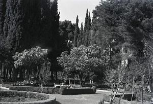 TLEMCEN 502- JARDIN PUBLIC COLLECTION DES AMIS DE ND DE SANTA CRUZ